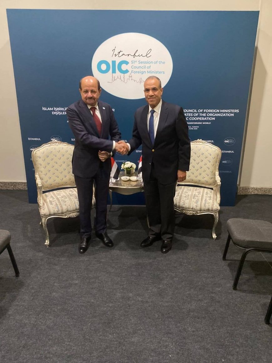 وزير الخارجية وشؤون المغتربين يلتقي نظيره المصري في إسطنبول ويشيد بالدعم المصري لليمن