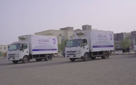 برعاية طارق صالح.. دعم طبي جديد لمواجهة الكوليرا والحُميات في ذو باب المندب
