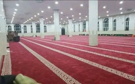 الحوثيون يصعّدون حملتهم لاستئصال التيار السلفي