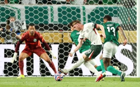 نيران بالميراس الصديقة تقود تشيلسي لنصف نهائي المونديال