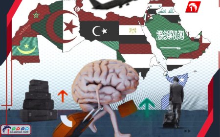 مقترح إماراتي للدول العربية يشعل المواقع ويثير ضجة كبيرة