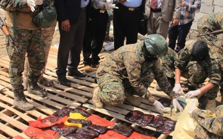 النيابة الجزائية المتخصصة تقوم بإتلاف كمية كبيرة من المواد المخدرة والمؤثرات العقلية في العاصمة عدن