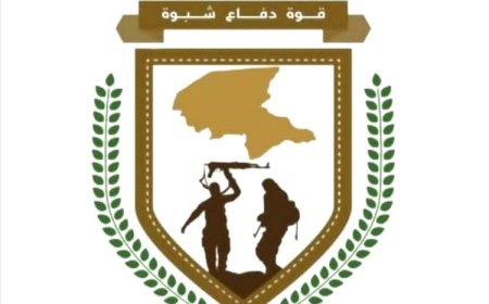 استشهاد جندي وإصابة آخرين بانفجار عبوة ناسفة في شبوة