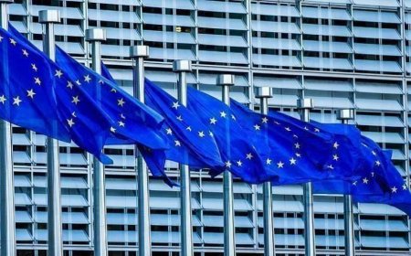 بعثة الاتحاد الأوروبي: مليوني مستفيد من برنامج تعزيز القدرة على الصمود في ثمان محافظات