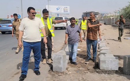 مدير عام المنصورة يؤكد الحرص على تحسين الصورة الجمالية للمديرية