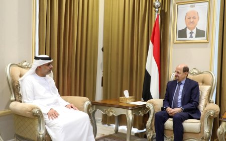 وزير الخارجية يبحث مع السفير الإماراتي تنسيق المواقف تجاه القضايا ذات الاهتمام المشترك