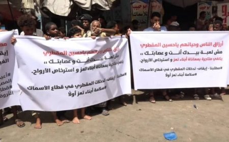 وقفة احتجاجية في تعز ترفض نقل سوق الأسماك إلى موقع غير مؤهل يهدد أرزاق الصيادين