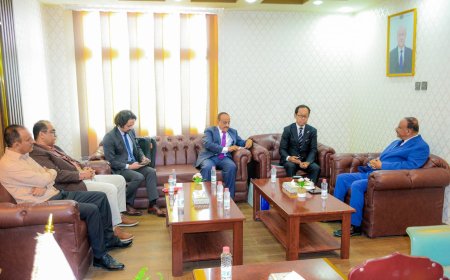 وزير النقل يستقبل السفير الياباني لدى بلادنا