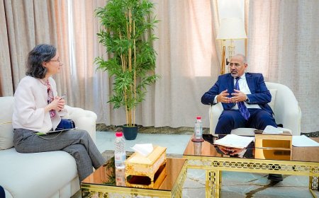 عضو مجلس القيادة اللواء الزُبيدي يبحث مع السفيرة الفرنسية تطورات المشهد السياسي والاقتصادي