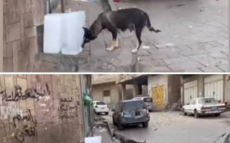 تعز..الكشف عن كارثة خطيرة فيها