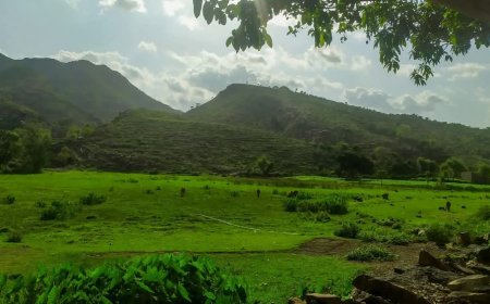 تعز..وباء الكوليرء يهدد حياة سكان عزلة عدينة