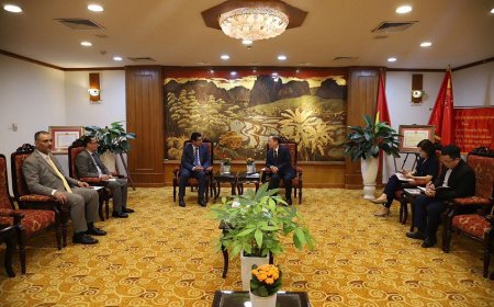 وكيل وزارة الخارجية يبحث مع غرفة التجارة والصناعة الفيتنامية تعزيز الشراكة الاقتصادية