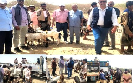 "الـفاو" و "الدعيس" يشرفان على توزيع الماعز لـ155 أسرة في عزلة المشالحة بالمخا