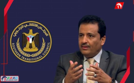 متحدثًا رسميًا للانتقالي.. الرئيس الزُبيدي يعين أنور التميمي