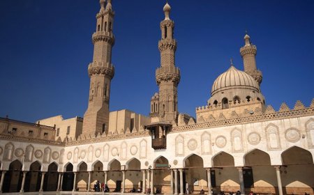 ما الاسباب التي أدت الى سحب بيان نصرة غزة من قبل الأزهر ؟!