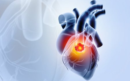 ماهو سرطان القلب ؟ كيفية حدوثه واعراضه و علاجه