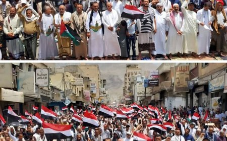 مظاهرة حاشدة في تعز اليمنية دعمًا لغـ ـزة وتنديدًا بالصمت العربي والدولي