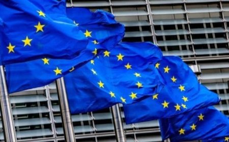 الاتحاد الأوروبي: خطر المجاعة في اليمن حقيقي ويتطلب إجراءات عاجلة