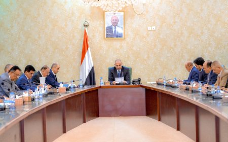 اللجنة العليا للموارد السيادية والمحلية تبحث الوضع الاقتصادي والتدابير اللازمة لتفعيل المؤسسات الإيرادية