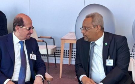 وزير الخارجية يبحث مع نظيره الجيبوتي آفاق تطوير التعاون المشترك