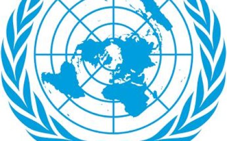 منظمة "إرادة" تحصل على المركز الاستشاري الخاص لدى المجلس الاقتصادي والاجتماعي بالأمم المتحدة