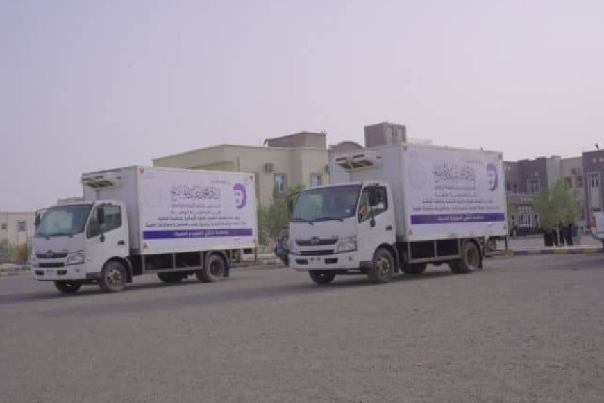برعاية طارق صالح.. دعم طبي جديد لمواجهة الكوليرا والحُميات في ذو باب المندب