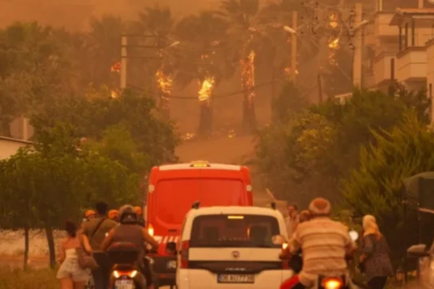 الحرائق في سوريا تقترب من القصر الرئاسي.. تفاصيل