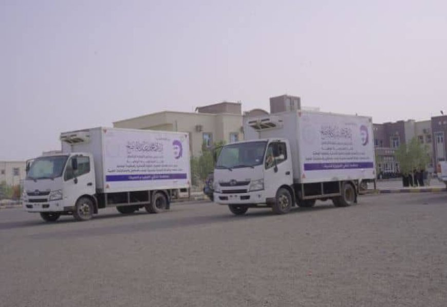 برعاية طارق صالح.. دعم طبي جديد لمواجهة الكوليرا والحُميات في ذو باب المندب