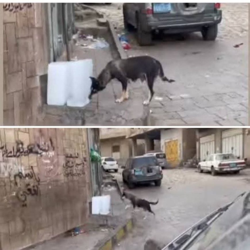 تعز..الكشف عن كارثة خطيرة فيها