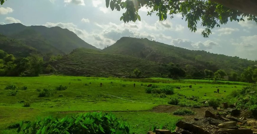 تعز..وباء الكوليرء يهدد حياة سكان عزلة عدينة