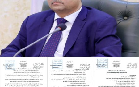 قرار رئيس الوزراء بتشكيل لجنة لتنظيم وتمويل الواردات يُسهم في استقرار سعر الصرف ويضع أسس الرقابة الموحدة