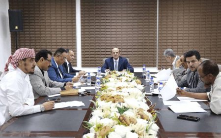 لجنة تمويل وتنظيم الاستيراد تقر دليل العمل والإجراءات لبدء أعمال الفريق التنفيذي