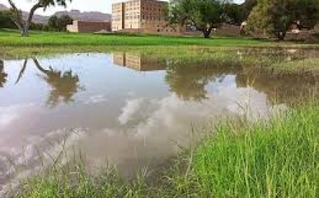 وفاة فتاتان في حادث غرق بمحافظة شبوة