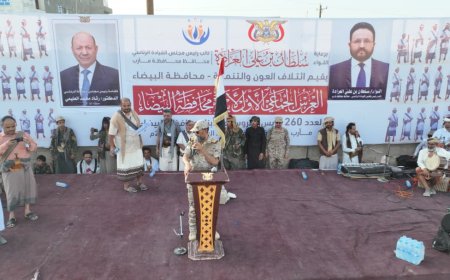 260 عريساً وعروساً من أبناء البيضاء يحتفلون بزفافهم في عرس جماعي بمأرب