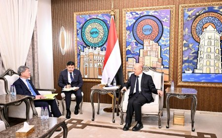 رئيس مجلس القيادة يشيد بالدور الكوري الداعم للشعب اليمني في مجلس الامن الدولي