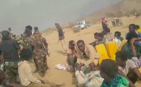 الحملة الأمنية بابين.. تسيطر على مخيم يضم لاجئين غير شرعيين غرب لودر