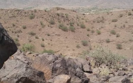 مقتل ثمانية بينهم أمرأتان في مواجهات قبلية بمحافظة عمران