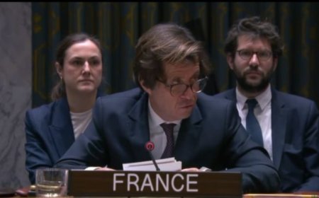 فرنسا تدين هجمات الحوثيين في البحر الأحمر وتحملهم مسؤولية تفاقم الأوضاع الإنسانية في اليمن