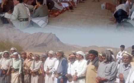 مساعي حثيثة بقيادة قائد الفرقة خامسة عمالقة لإنهاء قضية ثأر بين آل العطير وآل السقاف في حريب من 65عاما