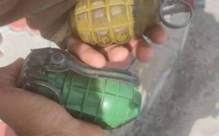 إحباط محاولة اختطاف وضبط المتهم وبحوزته قنابل يدوية في عدن