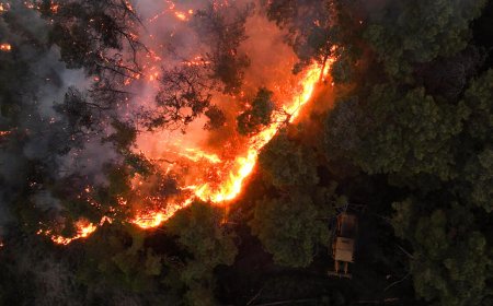 سوريا تحترق بالنيران !