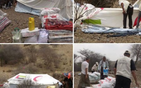 تعز .خلية الأعمال الإنسانية تنفذ استجابة طارئة لإغاثة أسر نازحة في مديرية موزع