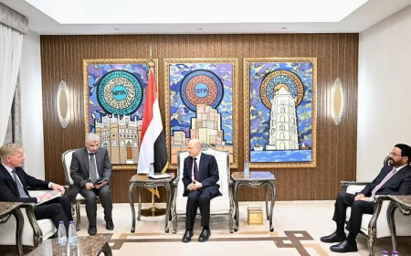 العليمي يستقبل غروندبرغ ويؤكد أن السلام الحقيقي يبدأ بهذا الأمر