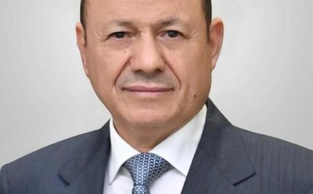 أولياء أمور الطلاب اليمنيين في مصر يناشدون رئيس مجلس القيادة الرئاسي الدكتور رشاد محمد العليمي 