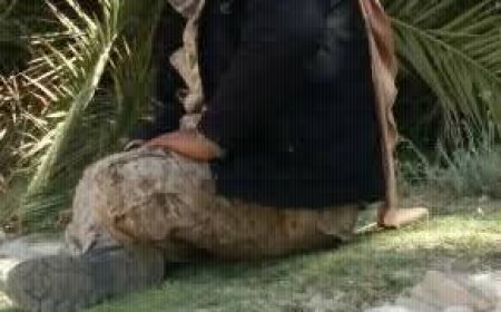 تعز..قيادي عسكري يقود عصابة تقوم في نشر الرعب والخوف بين افراد اسرة والد الطفل المخطوف محمد اياد 