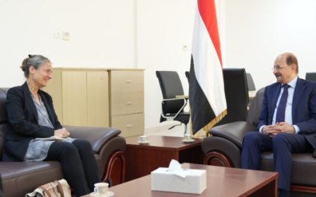 وزير الخارجية يبحث مع السفيرة الهولندية العلاقات الثنائية بين البلدين
