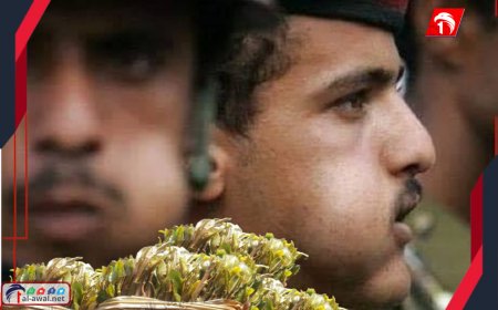 قرار عسكري مفاجئ.. منع تعاطي القات داخل المعسكرات (تفاصيل)