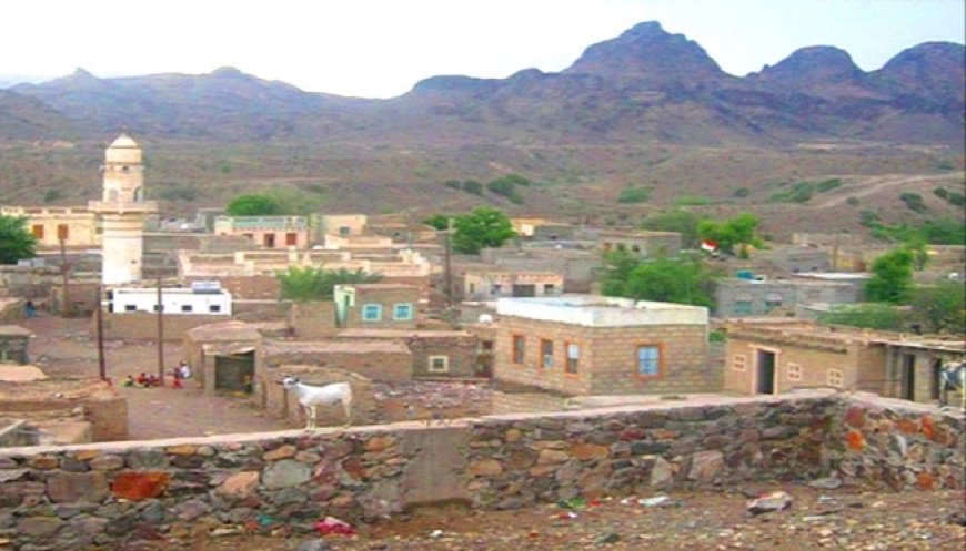 لحج.. مدير عام المسيمير يوجه مكتب التجارة والصناعة بضبط الصرف ومراقبة الأسعار