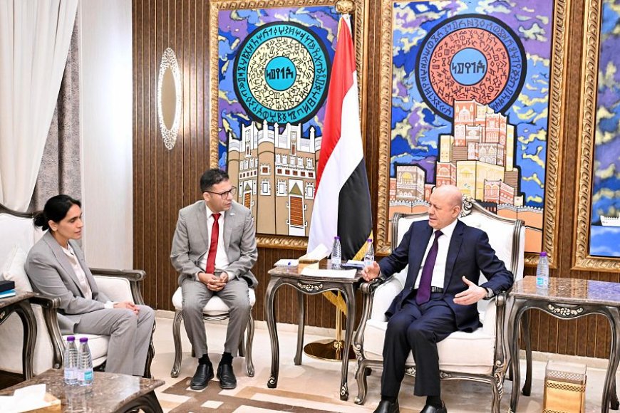 رئيس مجلس القيادة: المليشيات الحوثية باتت حالة ميؤوس منها كشريك لصناعة السلام