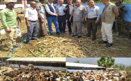 الدعيس و"الفاو" يطلّعان على إجراءات الحجر البيطري للماعز في مديرية المسراخ بتعز